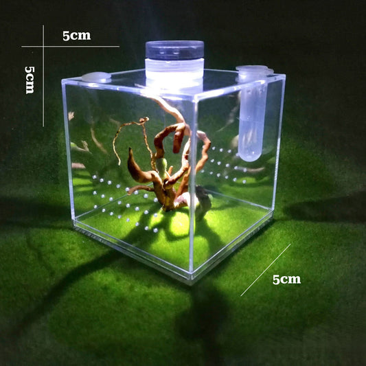 Cube Shaped Lamp Design Spider Feeding Box Mini Acrylic Reptile Terrarium | Acrylic Reptile Enclosure