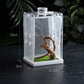 Lamp Design Insects Feeding Tank Mini Acrylic Reptile Cage | Acrylic Reptile Tank